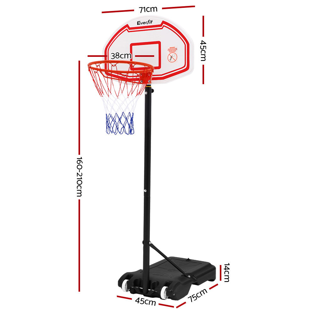 How Tall is a Basketball Hoop? (2024)